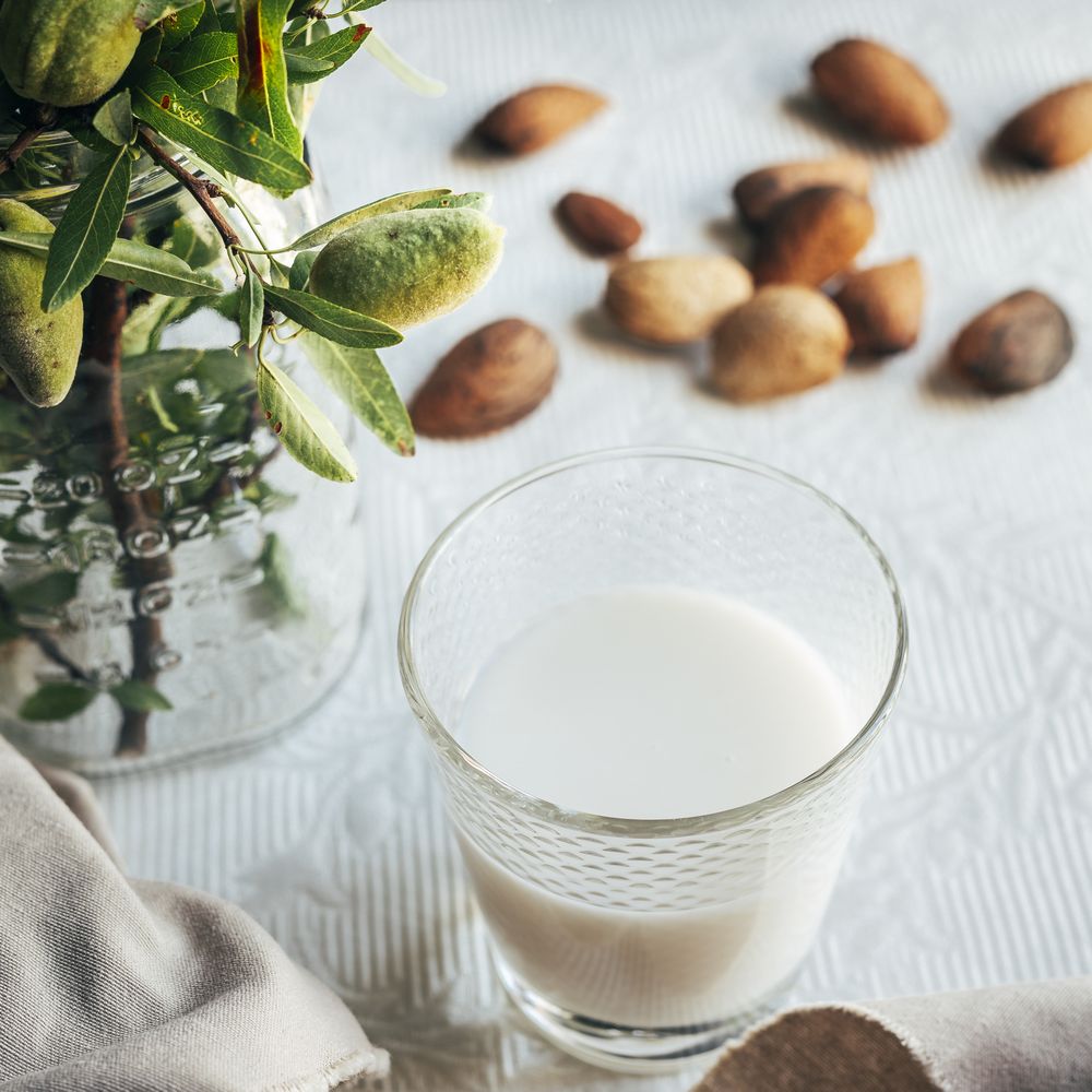Glass of almond milk next to plate of almonds in shells on kitchen table