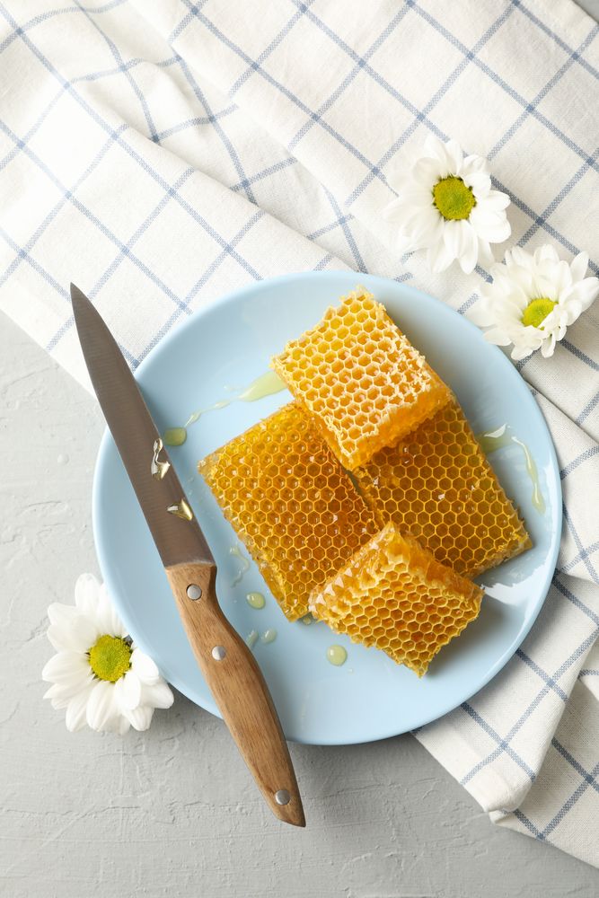 Plate with honeycombs and knife on neutral background, top view