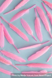 Soft feathers pastel pink on a soft pastel blue background 0yAM70