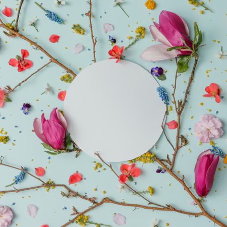 Pattern made of colorful spring flowers on blue background
