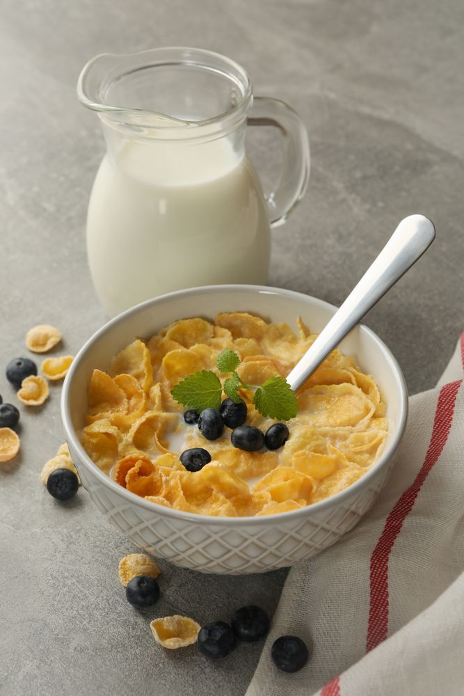 Concept of breakfast with muesli, milk and blueberry on gray table
