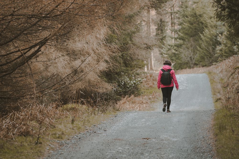 Tourist walking on footpath in forest park