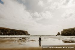 Back view of man standing on seashore in Ireland 5QMZn5