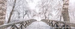 Pedestrian bridge on a winter’s day, wide 5nvEn5