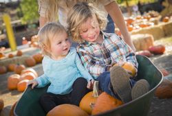 Young Family Enjoys a Day at the Pumpkin Patch