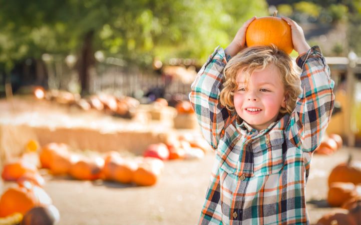 Cute Young Boy Having Fun at the Pumpkin Patch on a Sunny Fall Day..