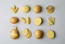 Potatoes cut in different ways arranged in rows