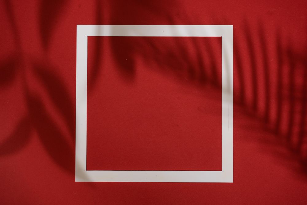 Top view of tropical leaf shadow on red background with paper frame