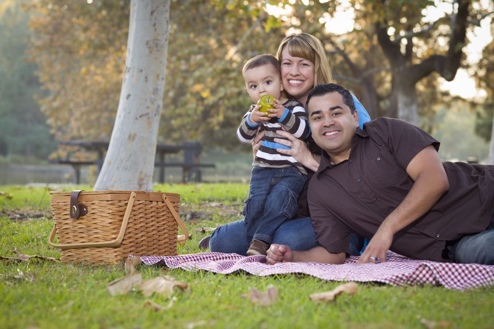 Family Having a Picnic In The Park