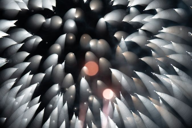 Bright fireworks on night sky