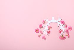 Paper lung bronchus with flowers with copy space