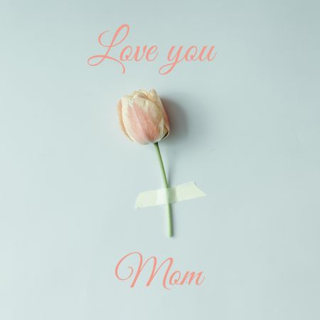 Tulip flower taped to light blue background with text "Love you Mom"