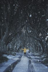 Unrecognizable person on beech trees tunnel in winter day