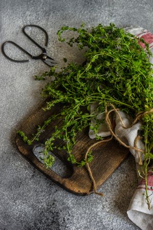 Cooking concept with fresh green herbs on cutting board