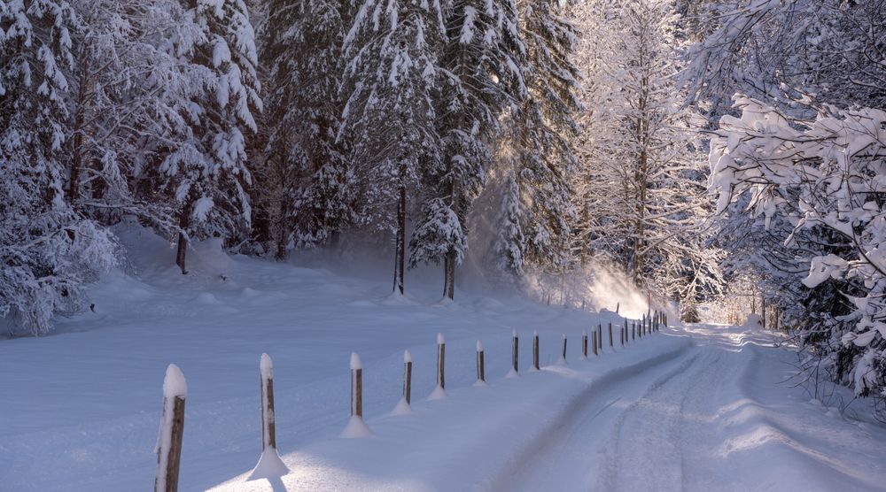 Forest road covered in deep snow on a sunny day in the Bavarian Alps, Germany