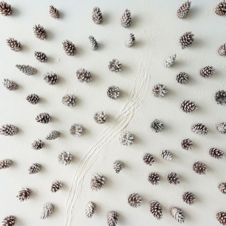 Snowy winter forest aerial made of pinecones, with tracks in the snow