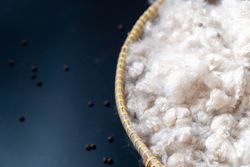 Kapok, tropical cotton fruit used for fiber and seed