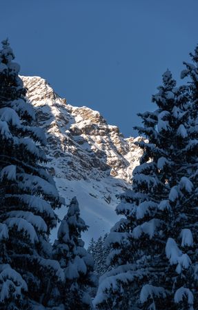 Snow-covered trees and mountain peaks on a sunny December day, in the Bavarian Alps