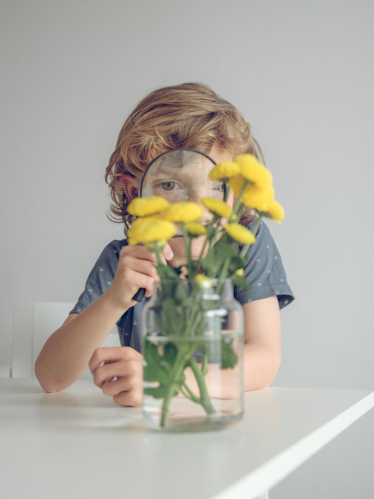Kid with magnifying glass observe flowers
