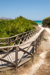 Wooden path on coast of sea
