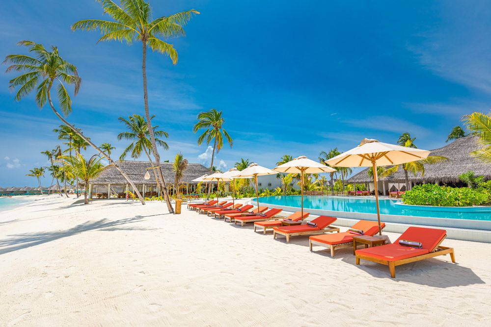 A row of lounge chairs by a pool