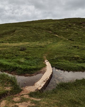 Log creating a path over a small brook