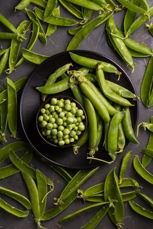 Fresh peas and pea pods on dark background