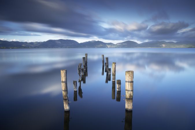 Wooden pier remains, Lake Massaciuccoli, Torre del Lago Puccini, Tuscany