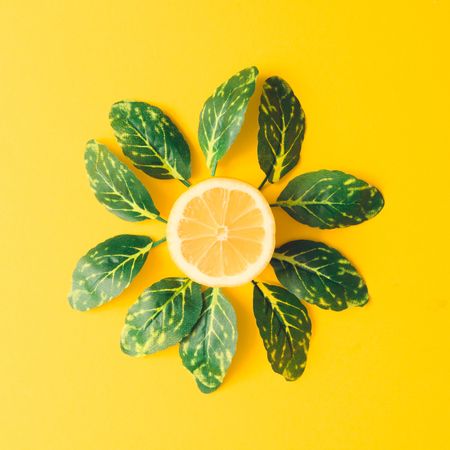 Lemon and green leaves on yellow background