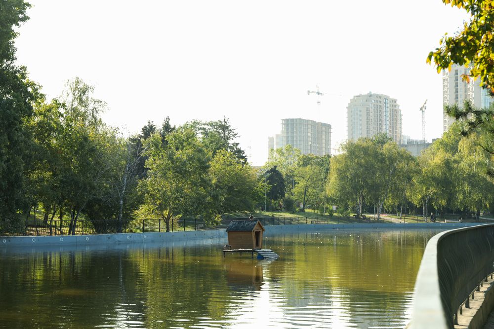 Beautiful city park with lake in sunny morning