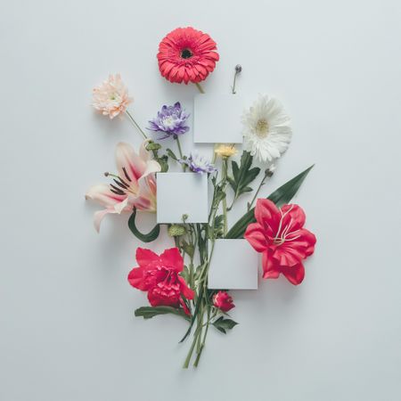 Creative layout made of various flowers with light  paper cards