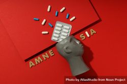 Model of bust with pills and the words “Amnesia” 49zRmb