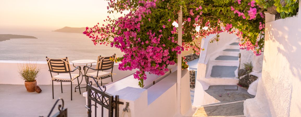 Overhang of pink flowers over a seaside patio at sunset, wide