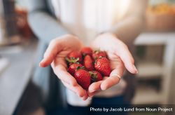 Female holding a handful of fresh strawberries 5lRnNb