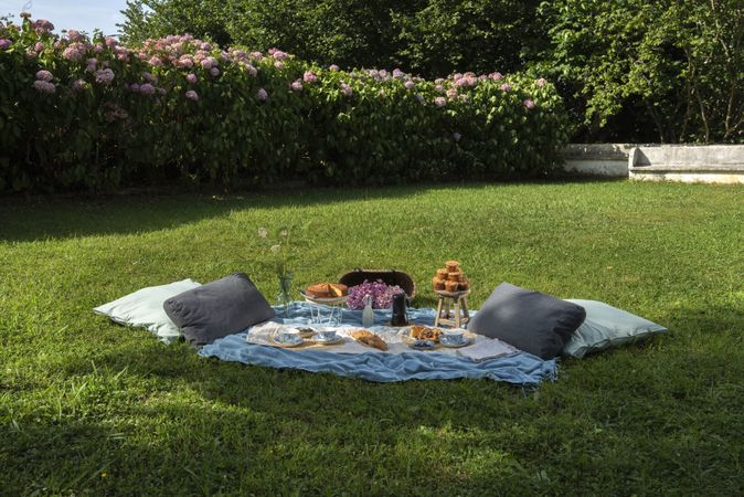 Picnic with tasty sweets and beverages for breakfast at summer garden