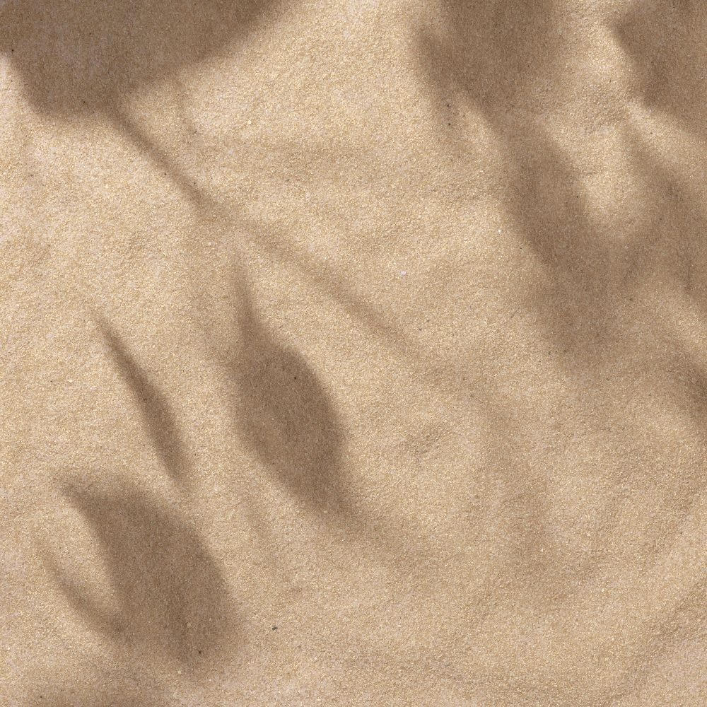 Sand with palm leaf shadows