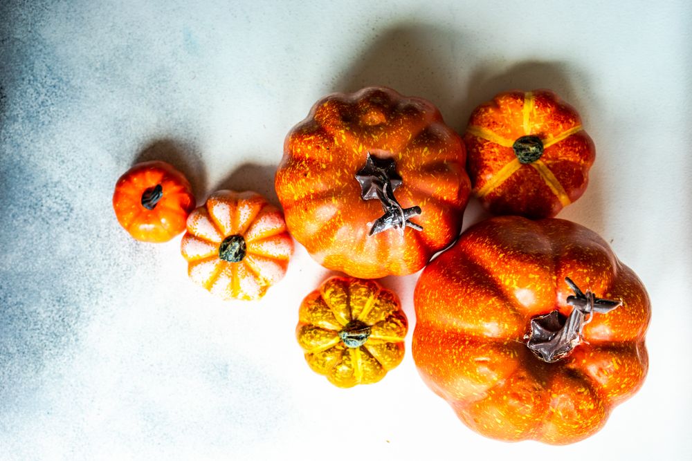 Squash decorations, top view with copy space