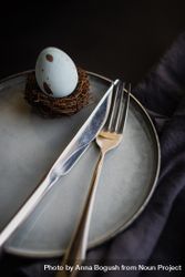 Silverware with nest & egg for Easter decor 4Odd6Z