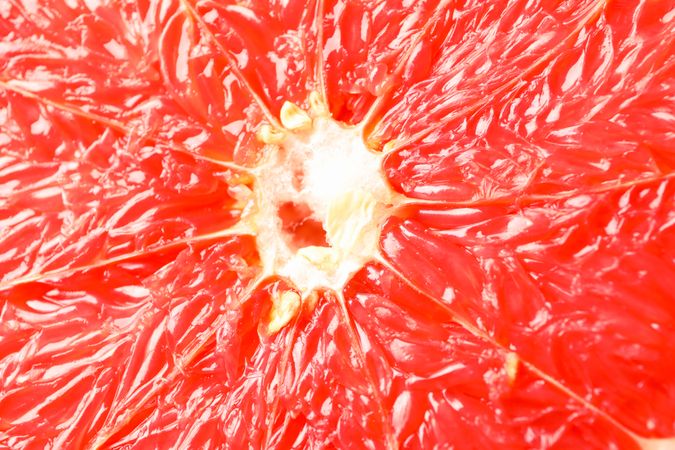 Grapefruit texture on plain background, close up