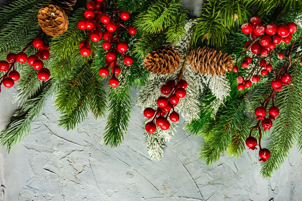 Wintry branch, holly and pine cones on grey background with copy space