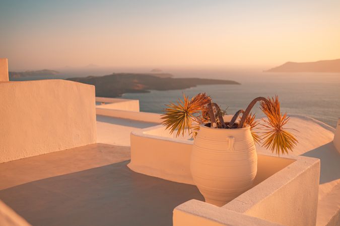 Plant in large pot over looking the Aegean Sea during magic hour