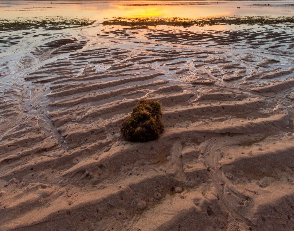 Beach Sand
