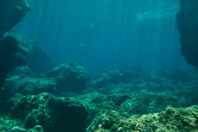 Rough sea bottom with stones on it
