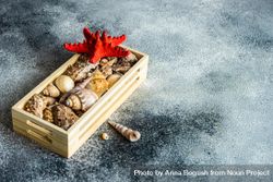 Wooden box full of sea shells on stone background 41ld3N