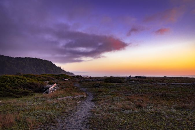 Beautiful view of the coast from a trail