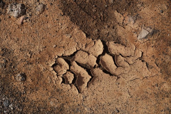 Natural background with cracked barren soil