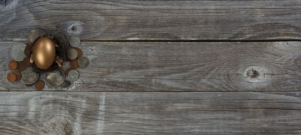 Golden Egg and coins on fading wooden table