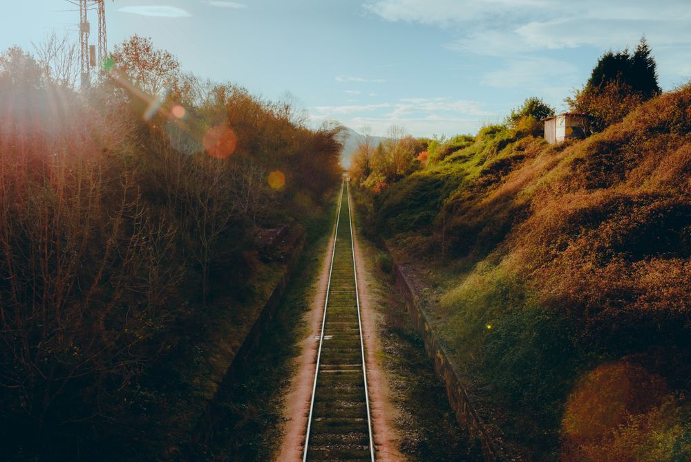 Railway between plants on hills