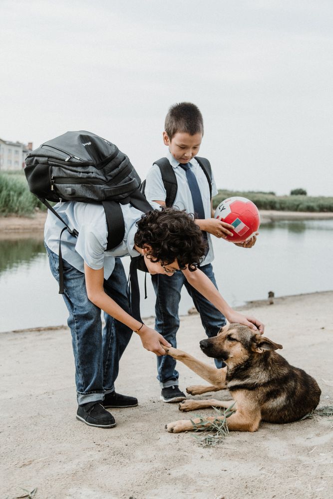 Happy preteen boys playing with dog and ball beside pond