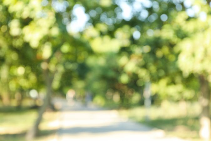 Blurred photo of city park in bright sunny morning